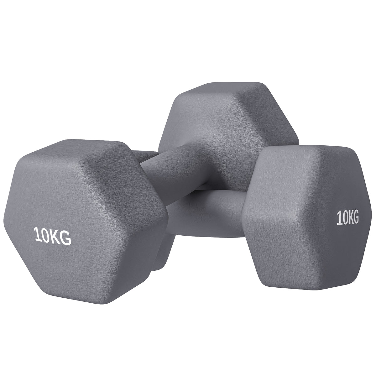 Set 2 Manubri Esagonali da 2x10 kg in Metallo e Plastica con Impugnatura Antiscivolo, 26x12x12 cm, Grigio