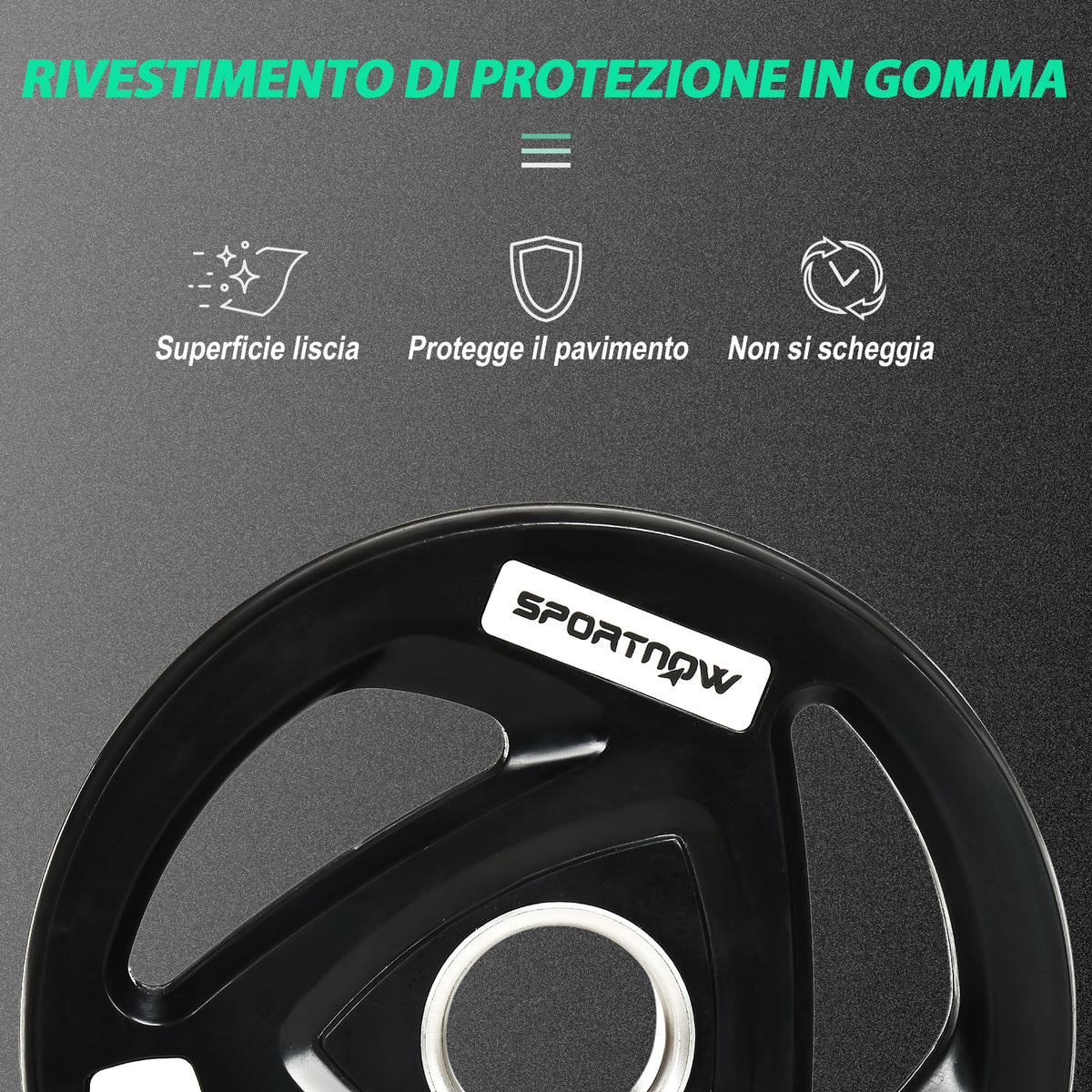 Set di 2 Dischi Pesi in Acciaio con Rivestimento in Gomma per Bilanciere
