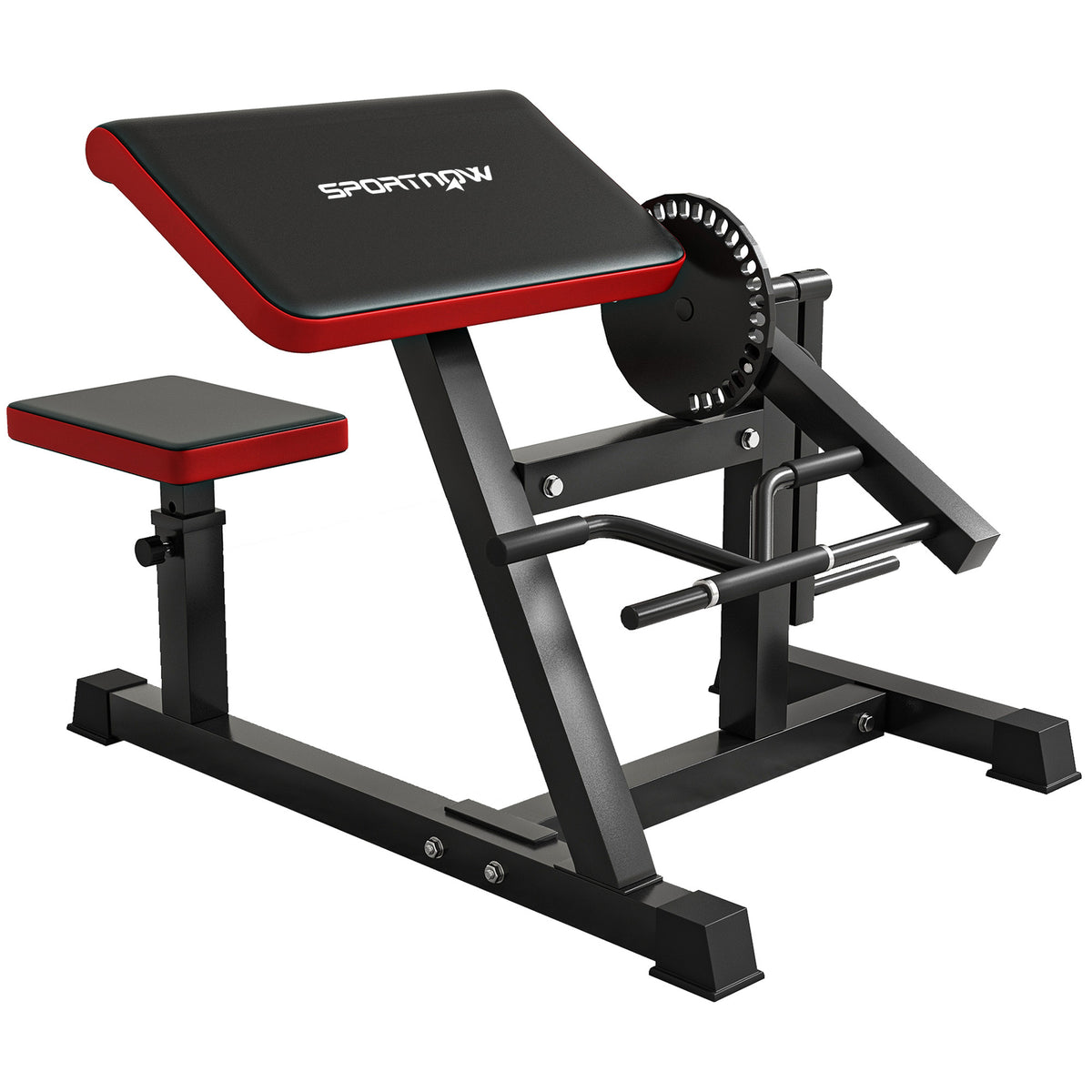 Panca Romana 2 in 1 per Curl e Tricipiti con Sedile a 5 Livelli e 25 Regolazioni, Nero