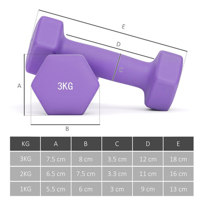 Set 6 Manubri Pesi (2x1 kg, 2x2 kg, 2x3 kg) da 12 kg con Supporto/Kettlebell, in Metallo e PP Rosa, Azzurro e Viola