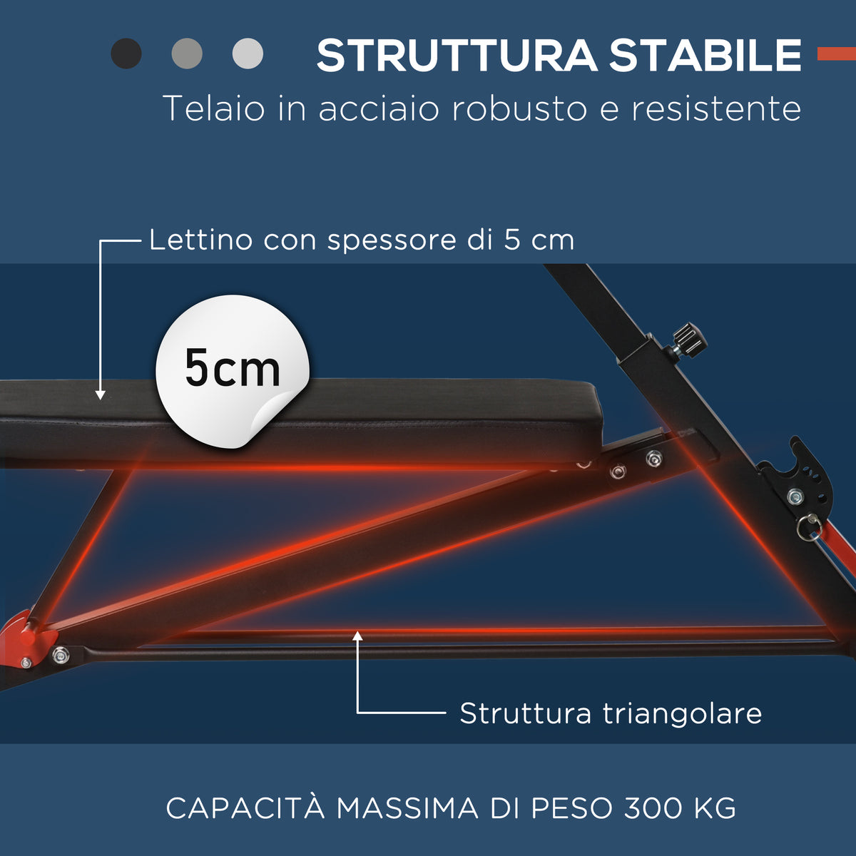 Panca Piana Multifunzione da Palestra Regolabile con 2 Reclinazioni, 4 Regolazioni del Piede, Nero