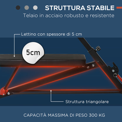 Panca Piana Multifunzione da Palestra Regolabile con 2 Reclinazioni, 4 Regolazioni del Piede, Nero