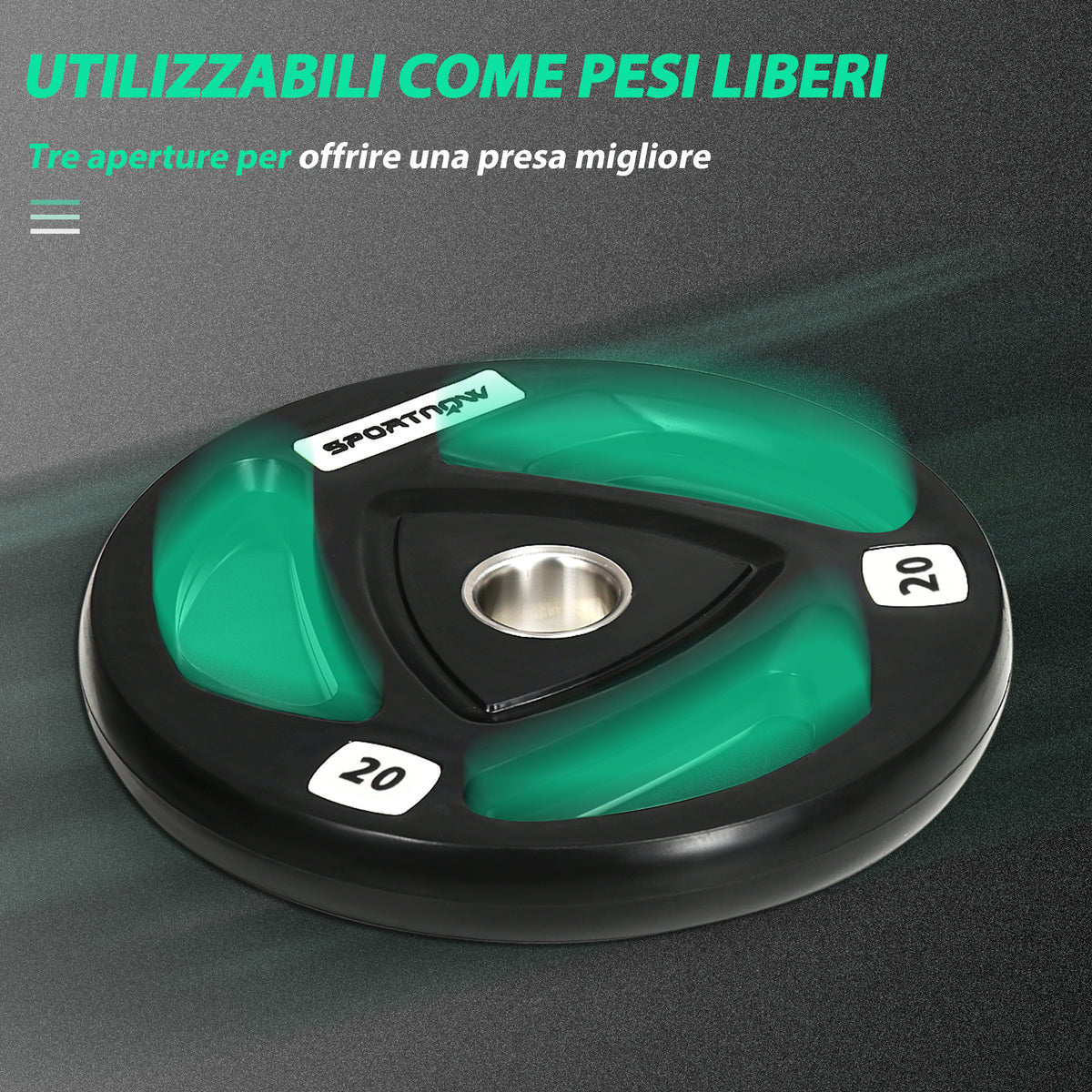 Set di 2 Dischi Pesi da 20kg in Acciaio con Rivestimento in Gomma per Bilanciere