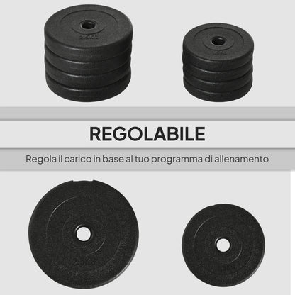 Set Manubri Pesi 20 kg (4x2.5 kg, 4x1.5 kg) con 8 Dischi e 2 Manubri da 2 kg, 43x18x7.5 cm, Nero