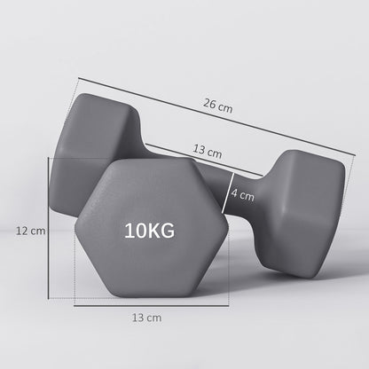 Set 2 Manubri Esagonali da 2x10 kg in Metallo e Plastica con Impugnatura Antiscivolo, 26x12x12 cm, Grigio