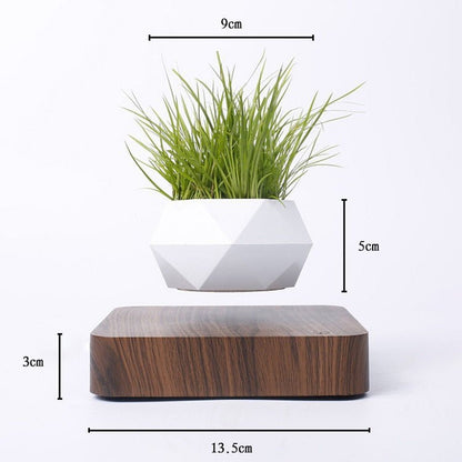 Vaso piante sospeso magnetismo - effetto decorativo unico