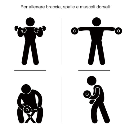 Set Manubri Palestra 30kg (8x2.5 kg, 4x1.5 kg), Pesi Palestra con 12 Dischi e 2 Manubri da 2 kg per Allenamento a Casa, Nero