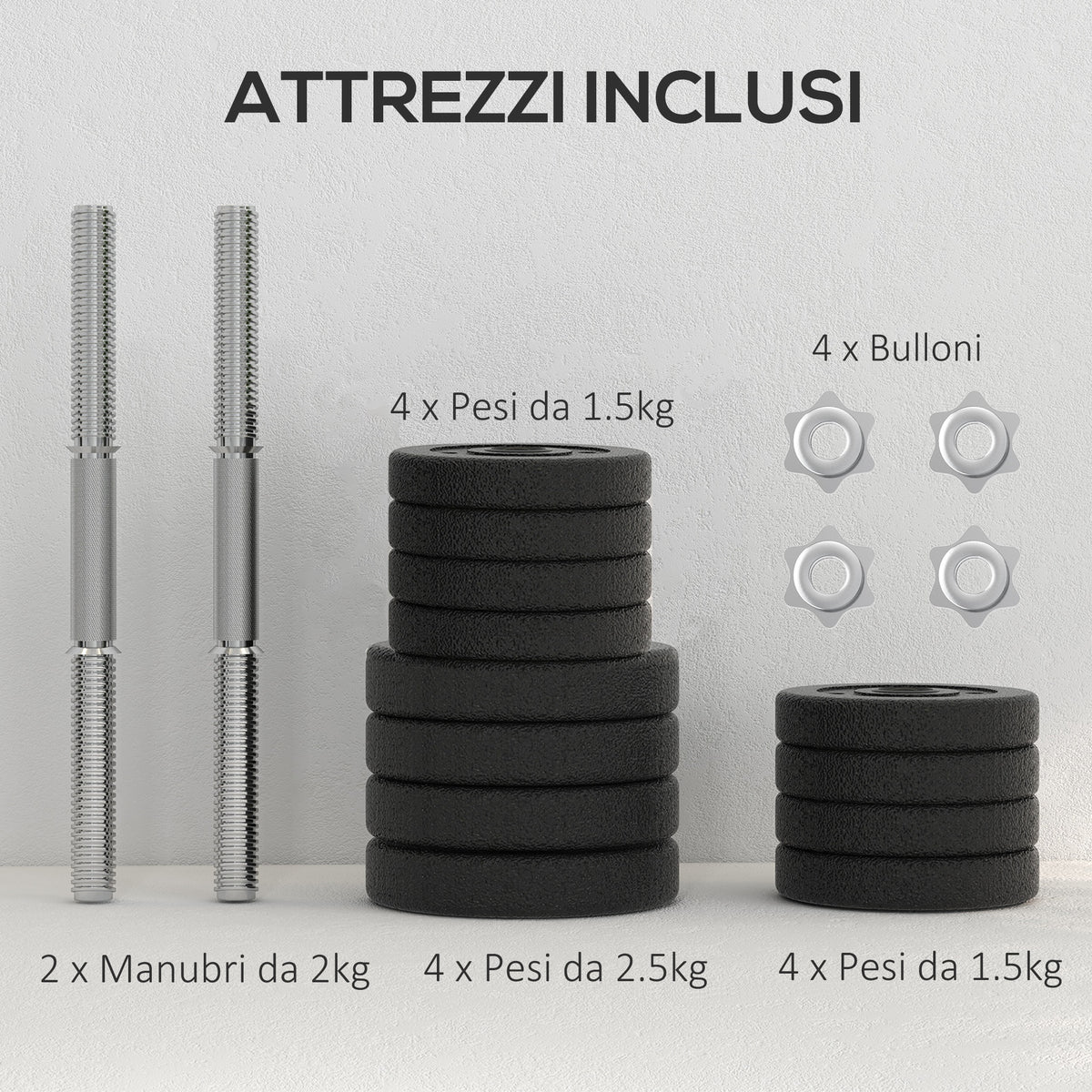 Set Manubri Palestra da 25 kg Totali con 12 Dischi Pesi e 2 Barre da 2 kg, Nero