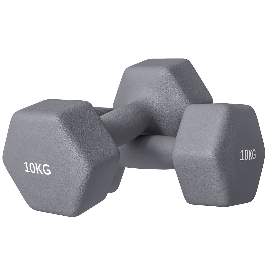 Set 2 Manubri Esagonali da 2x10 kg in Metallo e Plastica con Impugnatura Antiscivolo, 26x12x12 cm, Grigio