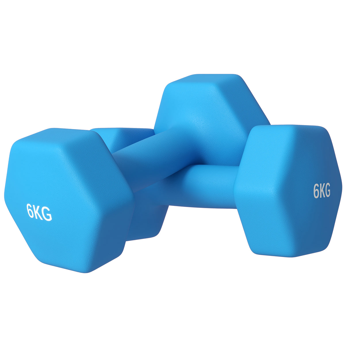 Set 2 Manubri Esagonali 2x6kg in Metallo e Plastica con Impugnatura Antiscivolo, 22x10x10 cm, Azzurro