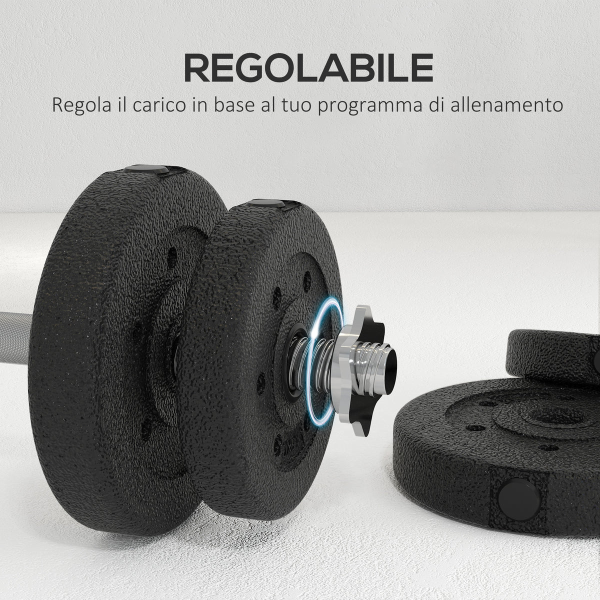Set Manubri Palestra da 25 kg Totali con 12 Dischi Pesi e 2 Barre da 2 kg, Nero