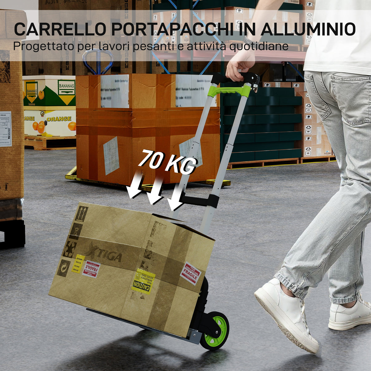 Carrello Portapacchi Pieghevole Capacità 70 kg con Maniglia Telescopica in Alluminio, Argento