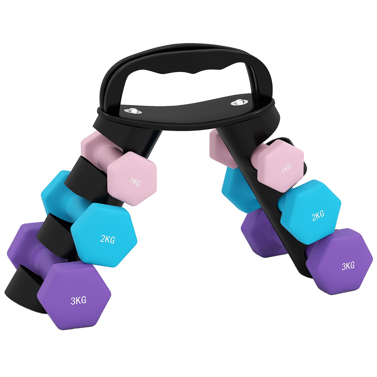 Set 6 Manubri Pesi (2x1 kg, 2x2 kg, 2x3 kg) da 12 kg con Supporto/Kettlebell, in Metallo e PP Rosa, Azzurro e Viola