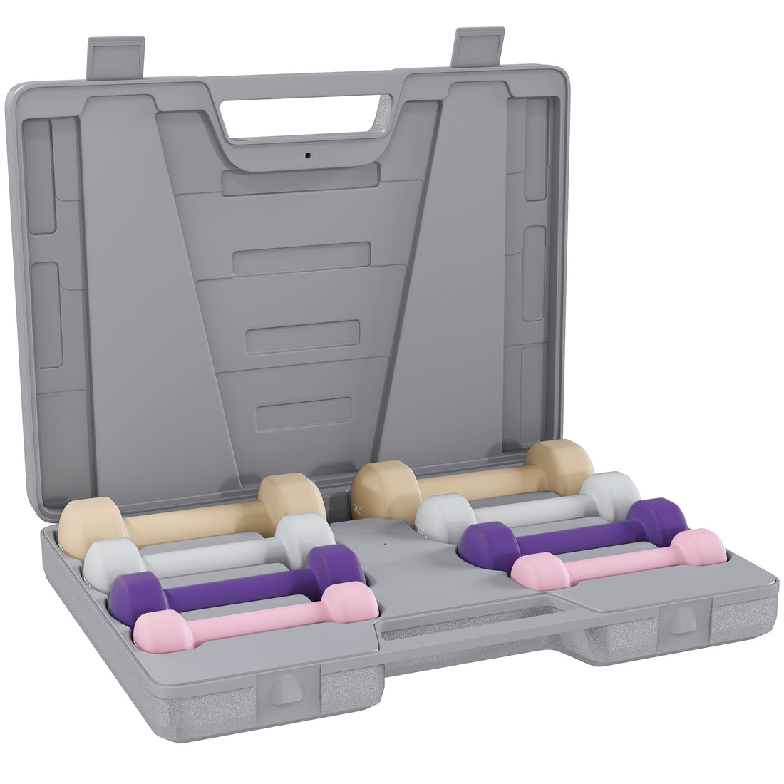 Set Manubri 10 kg con Valigetta Porta Pesi, in Metallo, PU e Plastica, 41x30x8 cm, Multicolore