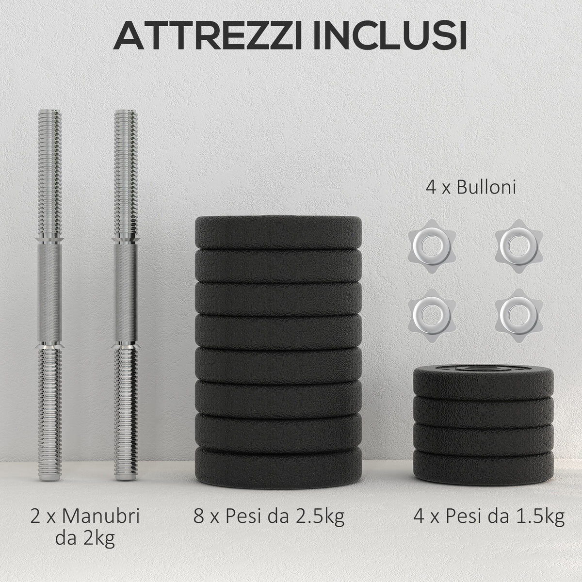 Set Pesi Manubri da 30 kg (8x2.5 kg, 4x1.5 kg) con 12 Dischi e 2 Manubri da 2 kg, 43x18x7.5 cm, Nero
