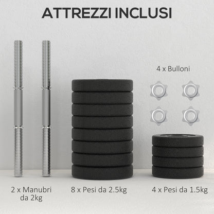 Set Pesi Manubri da 30 kg (8x2.5 kg, 4x1.5 kg) con 12 Dischi e 2 Manubri da 2 kg, 43x18x7.5 cm, Nero
