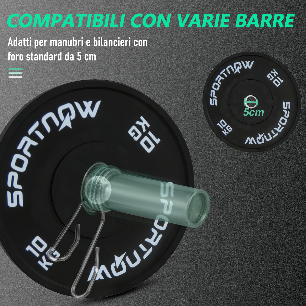 Set di 2 Dischi Palestra da 10kg per Bilanciere e Manubri con Attacco 5cm, Nero