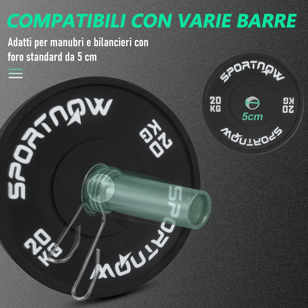 Set di 2 Dischi Palestra da 20kg per Bilanciere e Manubri con Attacco 5cm, Nero