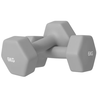 Set 2 Manubri Esagonali da 2x6 kg in Metallo e Plastica con Impugnatura Antiscivolo, 22x10x10 cm, Grigio