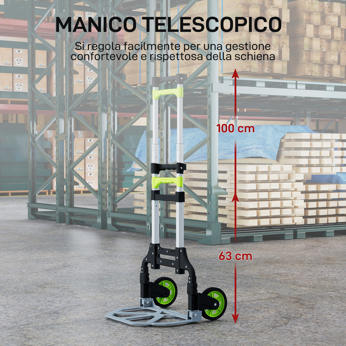 Carrello Portapacchi Pieghevole Capacità 70 kg con Maniglia Telescopica in Alluminio, Argento