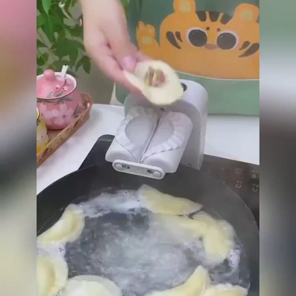 Guida completa macchina per ravioli - dalla pasta al prodotto finito