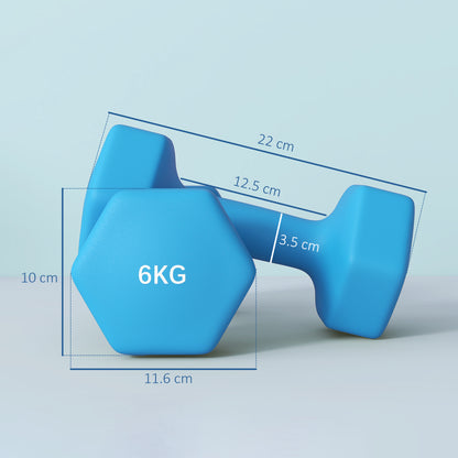 Set 2 Manubri Esagonali 2x6kg in Metallo e Plastica con Impugnatura Antiscivolo, 22x10x10 cm, Azzurro
