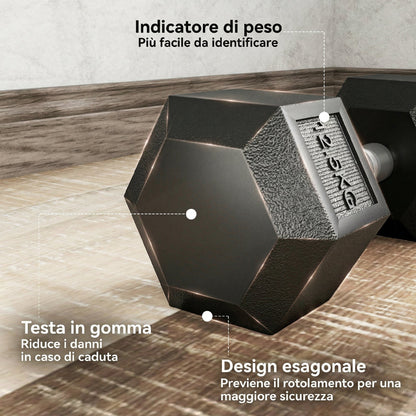 Set di Manubri Palestra da 2x12.5 kg Esagonale, Pesi per Palestra con Impugnatura Zigrinata Antiscivolo, Nero