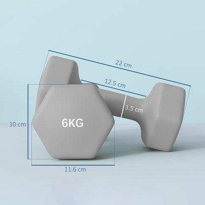 Set 2 Manubri Esagonali da 2x6 kg in Metallo e Plastica con Impugnatura Antiscivolo, 22x10x10 cm, Grigio