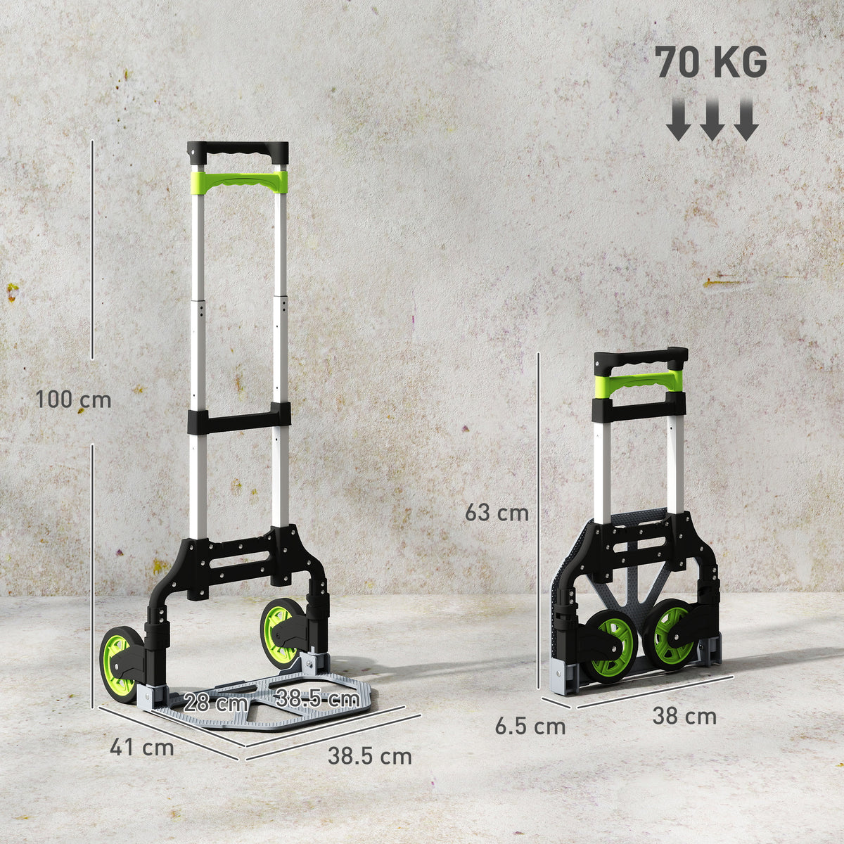 Carrello Portapacchi Pieghevole Capacità 70 kg con Maniglia Telescopica in Alluminio, Argento